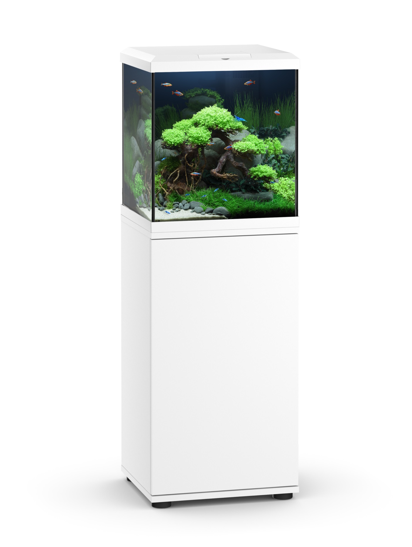 Комплект аквариум с тумбой Juwel Vio Cube 54 Aquarium - Set LED белый Комплект аквариум с тумбой Juwel Vio Cube 54 Aquarium - Set LED белый
